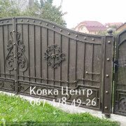 msg518783062-18694