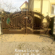 photo1648657637 (1)