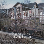 photo1648657637