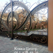 photo1648657637 (2)