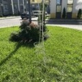 Підставка під вазони “Вежа 7шт” — Зображення 3