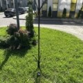 Вішак напольний — Зображення 3
